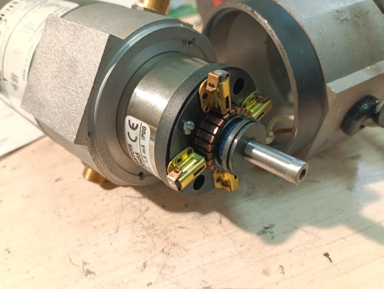 DVIGATEL_DVIGATEL_POSTOYANNOGO_TOKA_SIR_MECCANICA_WS2